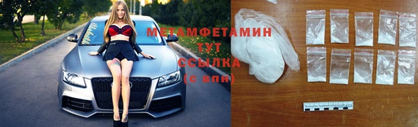 прущие грибы Аркадак