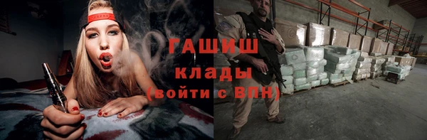 прущие грибы Аркадак