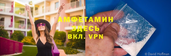 гашик Алексеевка