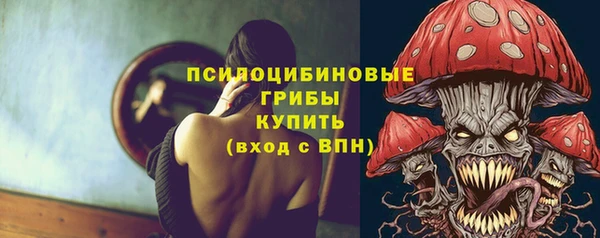 ПСИЛОЦИБИНОВЫЕ ГРИБЫ Алзамай