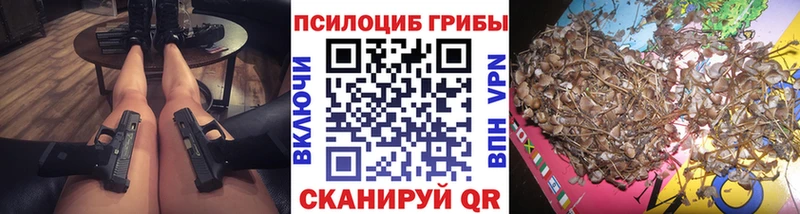 Галлюциногенные грибы Psilocybe  закладки  Мытищи 
